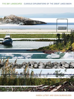 cover image of Five Bay Landscapes